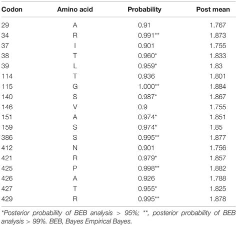 Frontiers Hybrid De Novo Genome Assembly Of Erwinia Sp E602 And