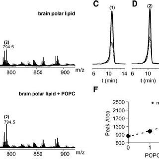 Method Validation A B Comparison Of Combined Spectra From Brain