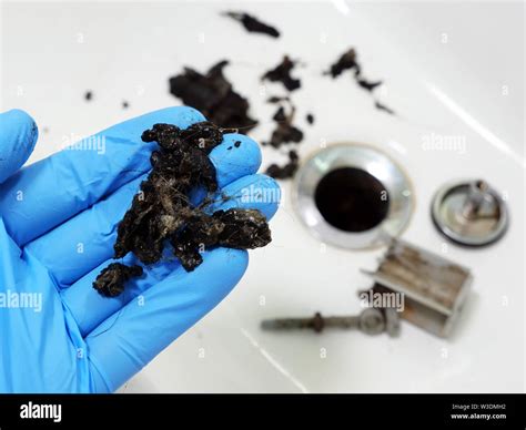 Plumber Holding Mass Of Hair And Grime From Clogged Sink Stock Photo