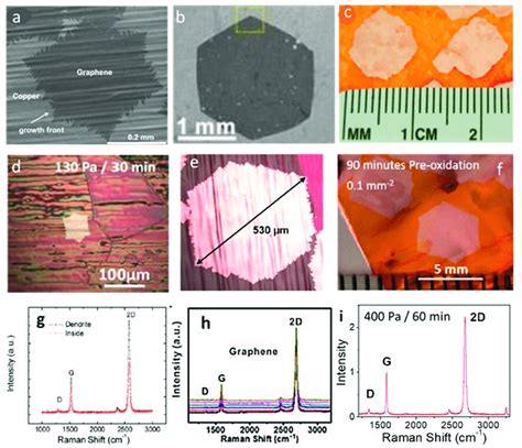 Growth Progression Of Large Single Crystal Graphene Grains On Cu By Cvd