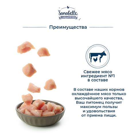 Сухой корм для взрослых кошек домашнего содержания Бош Санабелль Эдалт ...
