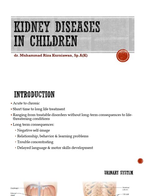 Kidney Diseases in Children s1 | PDF | Kidney | Medical Specialties