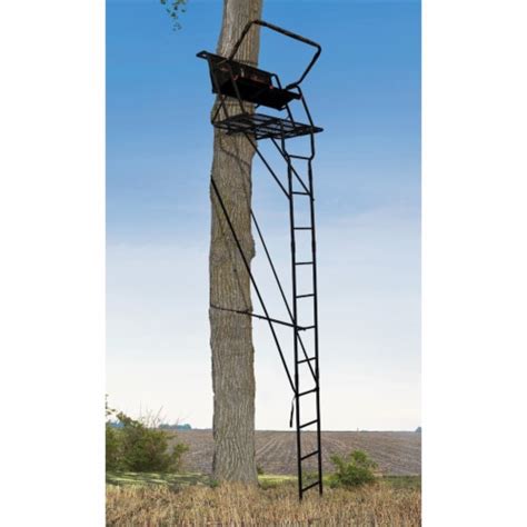 Big Game Spector XT Lightweight Portable 2 Hunter Tree Ladder Stand 17