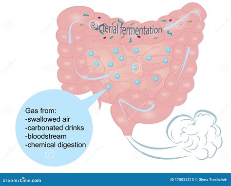 gas flatulence bloating  nancy colon blog