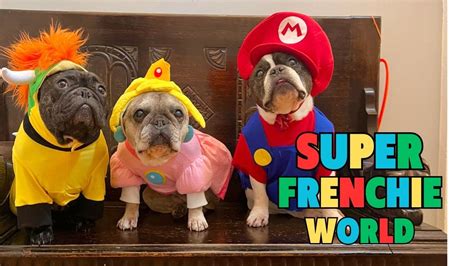 Super Frenchie World - YouTube