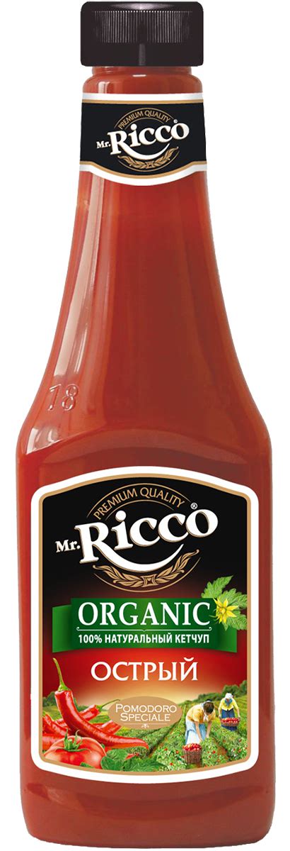 Mr.Ricco Кетчуп острый, 570 г — купить в интернет-магазине OZON с ...