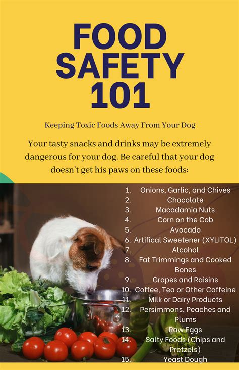 Toxic Foods For Dogs Poster