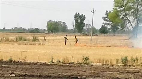 Punjab Stubble Burning Mogas Dc Warns Of Strict Action Against