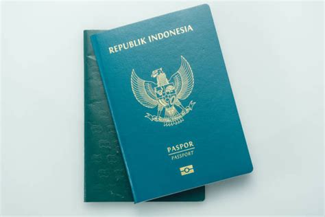 Contoh Gambar Passport Biru Atau Putih Yvonne Knox