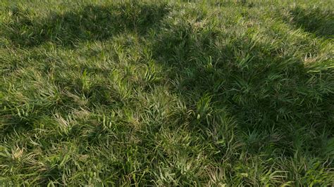 Artstation Grass 1