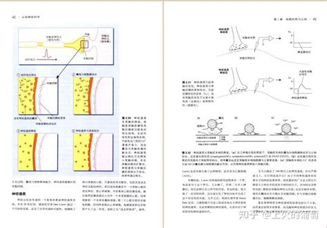 请问脑科学、认知神经科学、认知科学这三者有什么区别？ 知乎