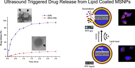 Ultrasound Responsive Smart Drug Delivery System Of Lipid Coated