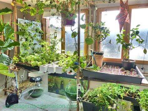 indoor vegetable gardens - Bing Images | Аквапоника, Комнатный сад ...