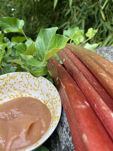 LouLouGourmet Sirop Et Compote De Rhubarbe Au Thermomix