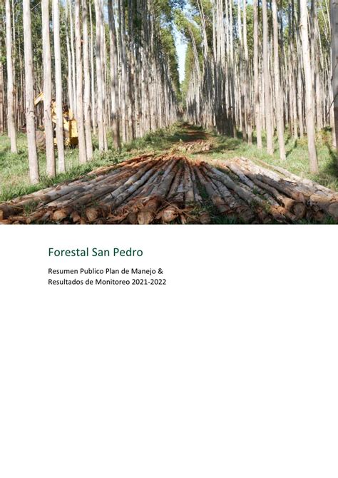 El Plan De Manejo Forestal De Forestal San Pedro Est