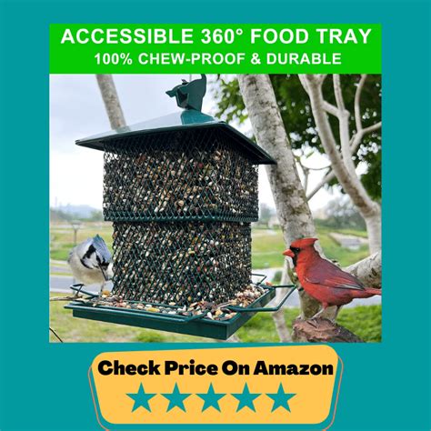 Best Bird Feeders For Cardinals