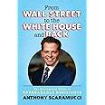 From Wall Street To The White House And Back The Scaramucci Guide To