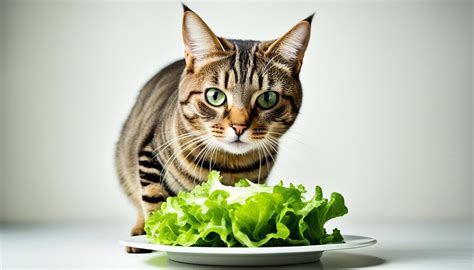 Can Cats Eat Lettuce Nutritional Benefits And Risks