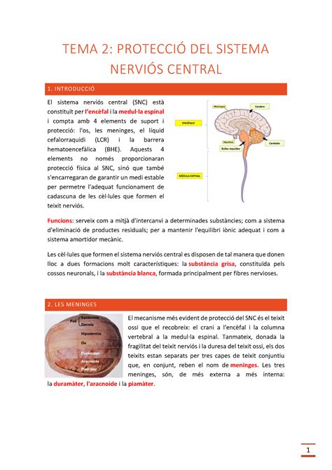 Biologia Del Comportament Tema Tema Protecci Del Sistema