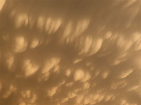 Img Mammatus Clouds Aft Storm From Laban West Flickr