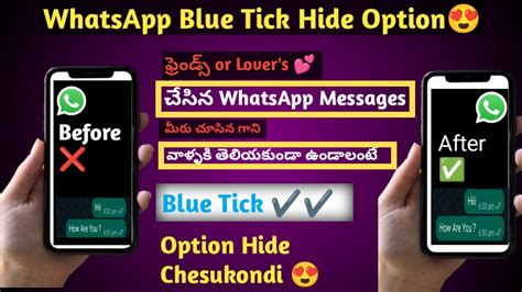 How To Turn Off Blue Tick On Whatsapp Whatsapp Blue Tick Disable