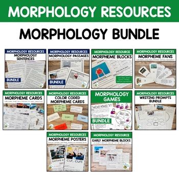 Morphology Scope And Sequence Teaching Resources TPT