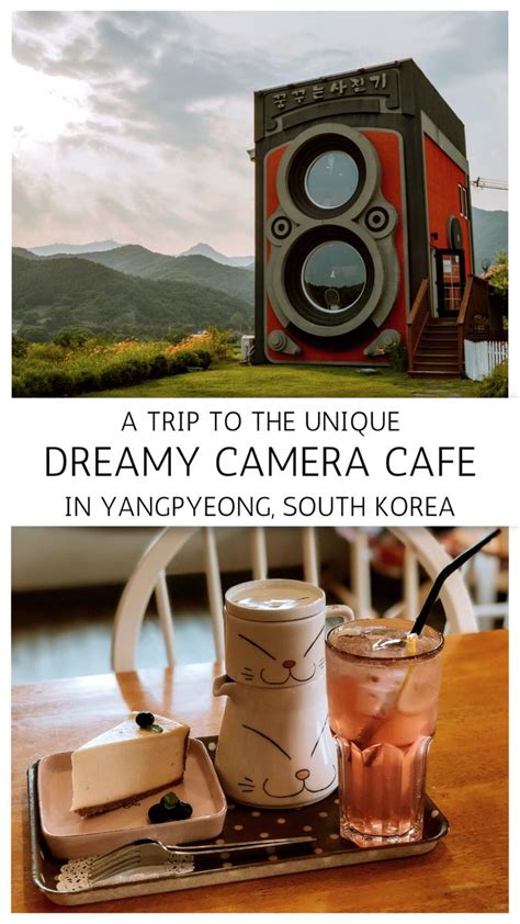 Everything You Need To Know For Your Trip To The Dreamy Camera Cafe