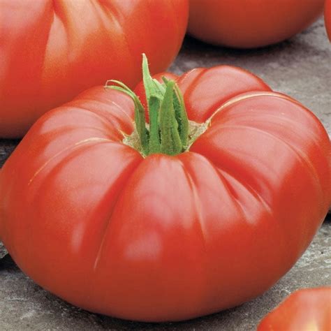 Tomato Seeds Beefsteak Determinate Vegetable Seeds In Packets And Bulk Eden Brothers