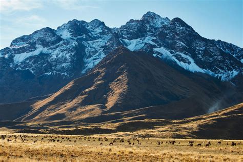 Con Este Tren Podrás Recorrer La Belleza De Los Andes Peruanos