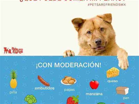 Que Alimentos Puedes Darle A Tu Perro Y Cuales No Debes Darle Nunca