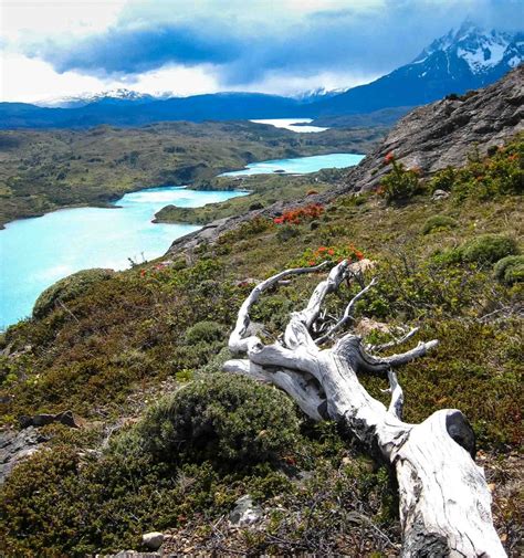 Making the Most of a Chilean Patagonia Visit - Epic7Travel.com ...