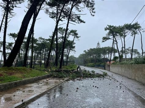 Minho Mau Tempo Provoca Inunda Es E Quedas De Rvore