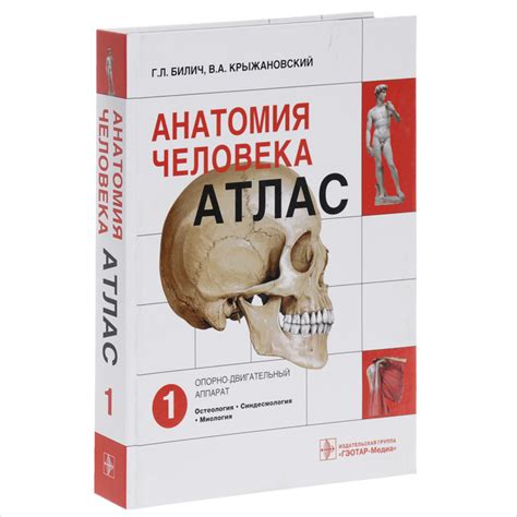 Книга "Анатомия человека. Атлас. В 3 томах. Том 3" – купить книгу ISBN ...