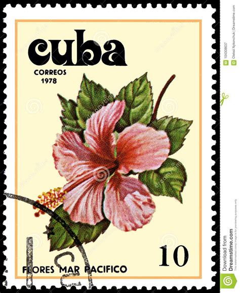 Cuba Circa A Stamp Printed In Cuba Shows A Hibiscus Flower