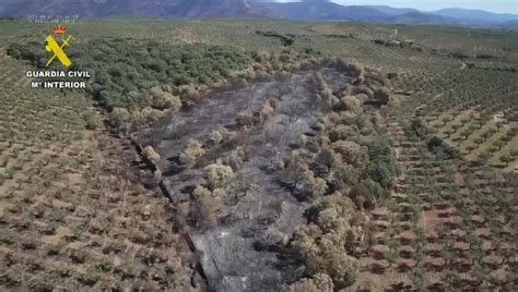 Detenido El Presunto Autor De Dos Incendios Forestales En Hern N P Rez