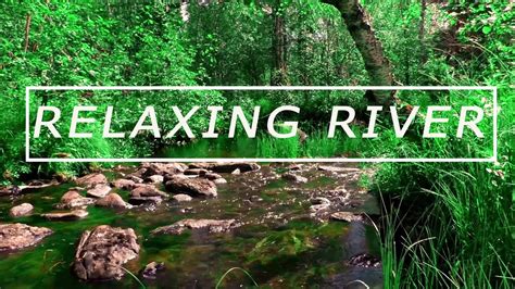 Calming River Sounds Relaxing River Stream Flowing Green Forest River