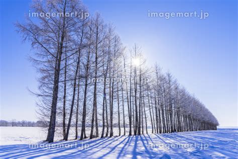 北海道 十勝地方 冬景色の写真素材 79702815 イメージマート