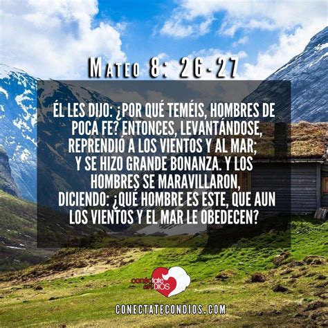 Los 7 Mejores Versículos Bíblicos de Fe Conéctate Con Dios