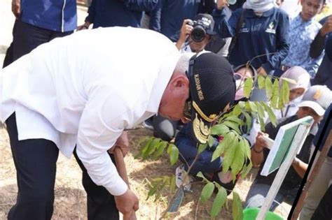 Gubernur Kaltim Ajak Masyarakat Jaga Kelestarian Lingkungan Antara News