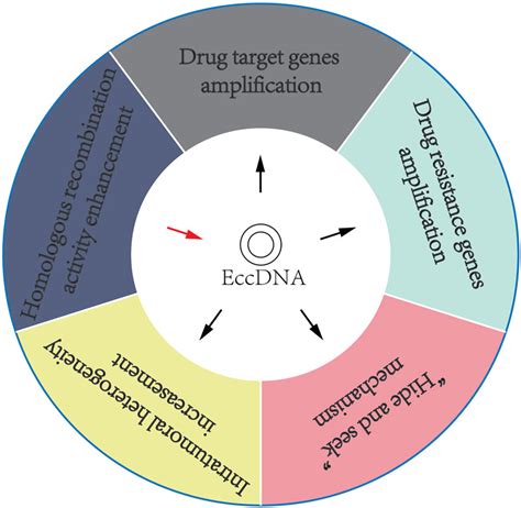 Overview of our current understanding of cancer drug resistance... | Download Scientific Diagram