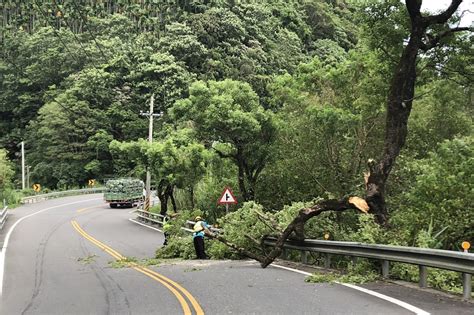 影卡努強風狂掃宜蘭地區 多處路樹倒壓車無人傷警協助排除 Yahoo奇摩汽車機車