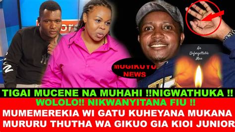 Tigai Mucene Mumemerekia Wi Gatu Kwaria Miario Iria Yagegia Aingi