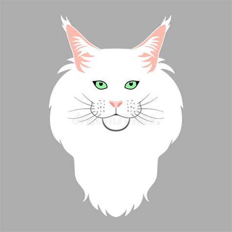 Maine Coon Cat Head Isolate On Gray Background Cartoon Cat Kitten Icon