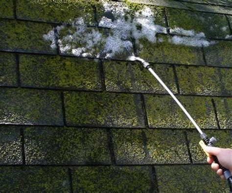 Comment Enlever La Mousse Naturellement Sur Une Terrasse Et Faire Pour