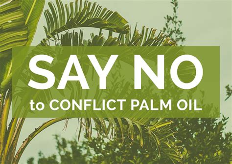 Palm Oil: How and Why to Avoid It | Cause You Care