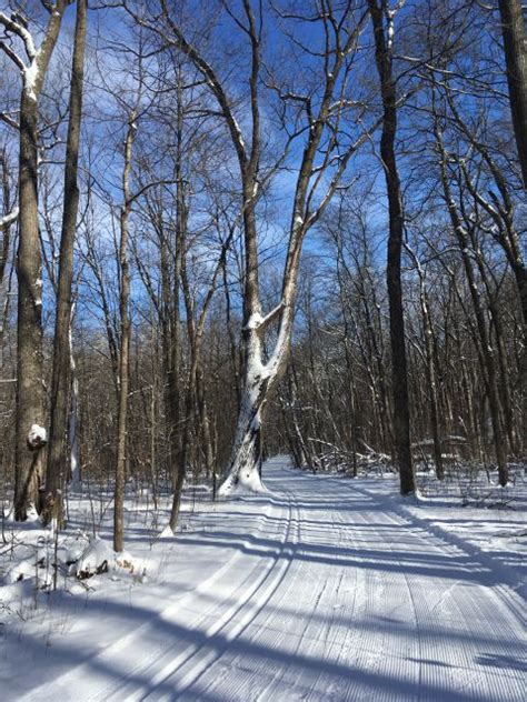 Photo Album Trail Report Greenbush Ski Trails