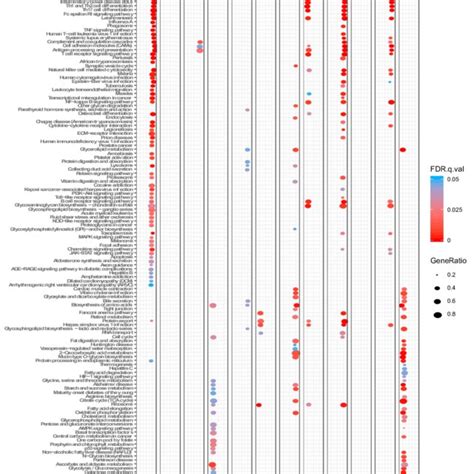 Endoscopic findings of CMV colitis in patients without IBD, except... | Download Scientific Diagram