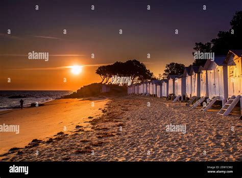 France Vend E Le De Noirmoutier Noirmoutier En L Ile Le Bois