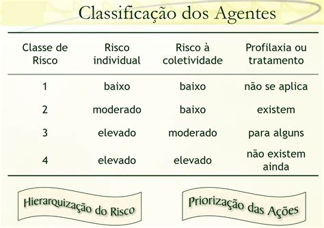 Manual Do Trabalho Seguro Grost Classificação Dos Risco Biológicos