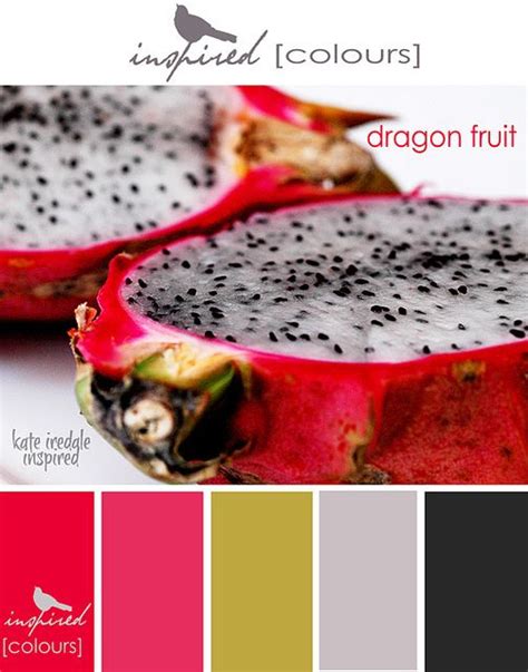 Inspired Colour Palettes Dragon Fruit Fruit Collage Color Schemes